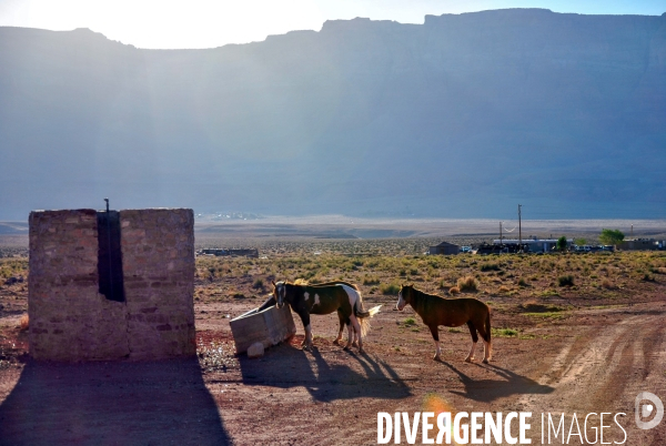 West AMERICA : Aux sources du Reve americain