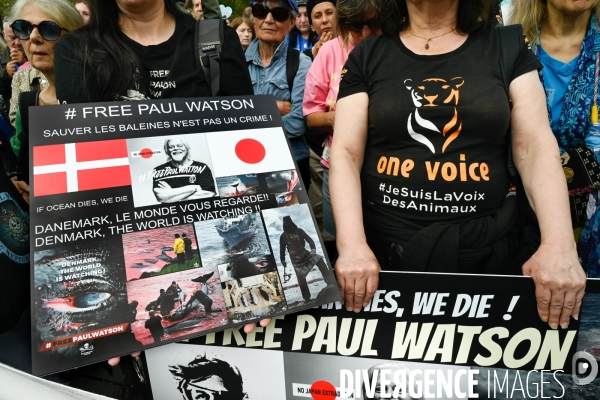 Rassemblement en soutien à Paul Watson, à Paris.