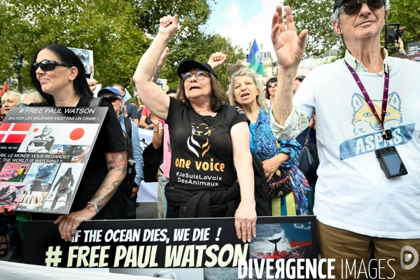 Rassemblement en soutien à Paul Watson, à Paris.