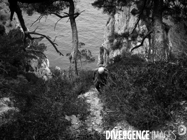 Escalade dans les calanques