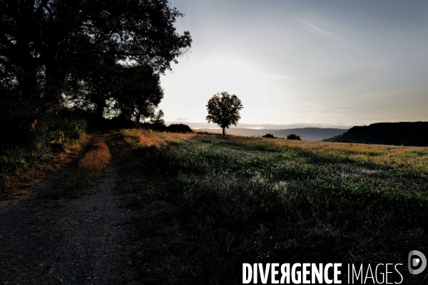 Paysage 