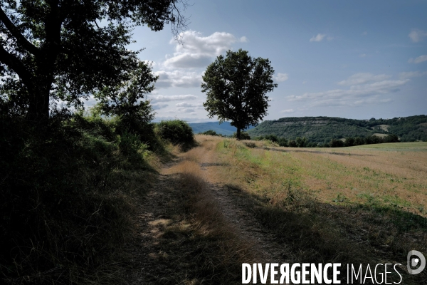 Paysage 
