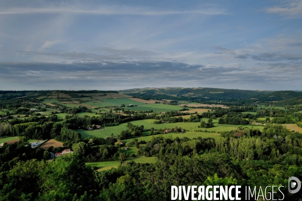 Paysage 