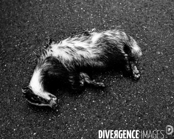 L envers de mon hiver # 13