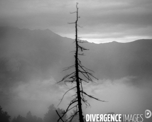 L envers de mon hiver # 13