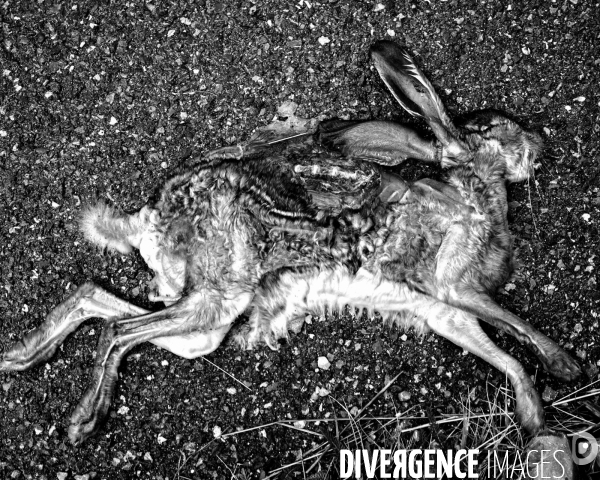 L envers de mon hiver # 13