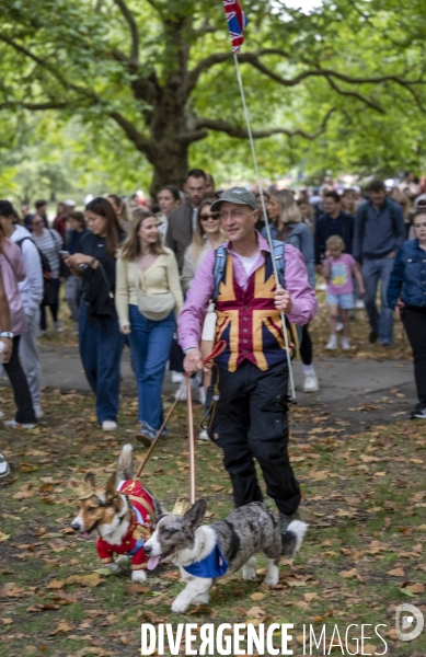 LONDRES (UK) : Defile de CORGIS en hommage a ER II