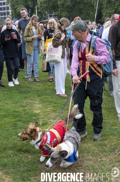 LONDRES (UK) : Defile de CORGIS en hommage a ER II