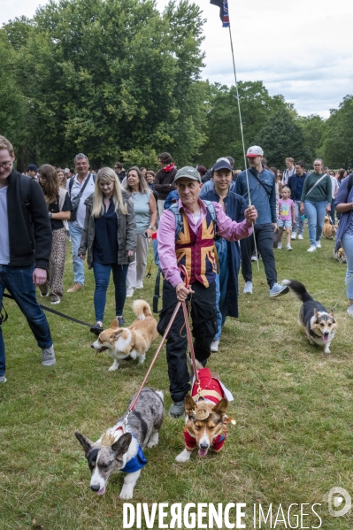 LONDRES (UK) : Defile de CORGIS en hommage a ER II