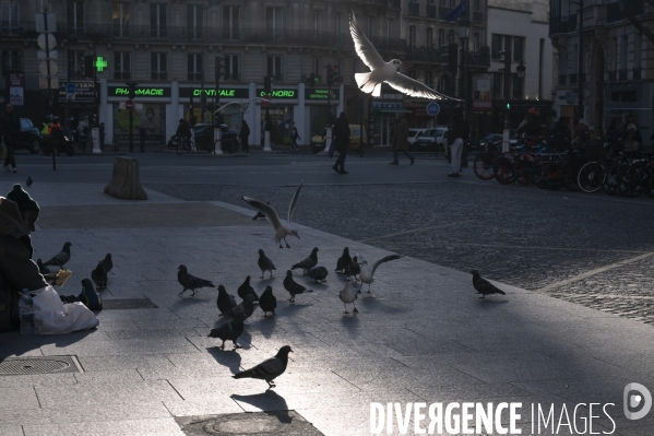 Le silence de la rue # 7