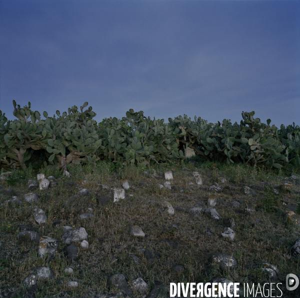 Les Absents