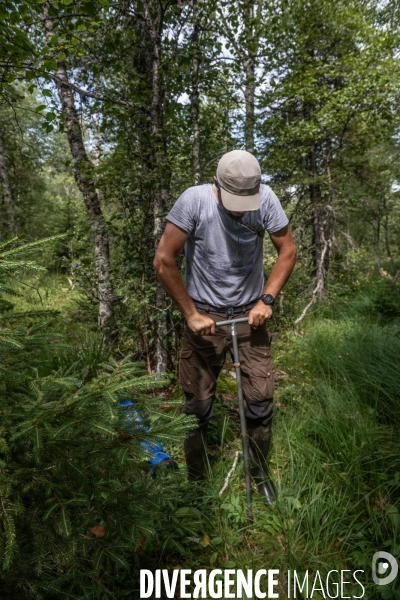 Les tourbieres, la biodiversite face au rechauffement climatique