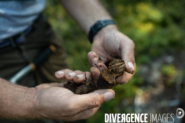 Les tourbieres, la biodiversite face au rechauffement climatique