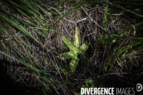 Les tourbieres, la biodiversite face au rechauffement climatique