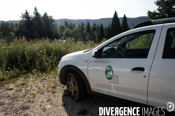 Les tourbieres, la biodiversite face au rechauffement climatique