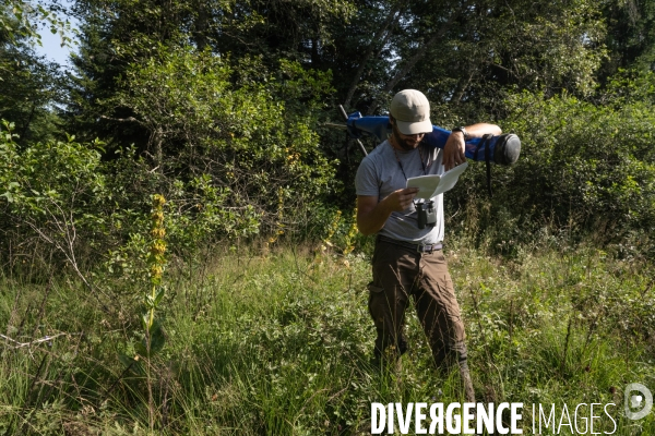 Les tourbieres, la biodiversite face au rechauffement climatique