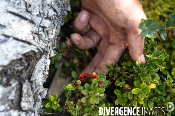 Les tourbieres, la biodiversite face au rechauffement climatique