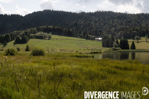 Les tourbieres, la biodiversite face au rechauffement climatique