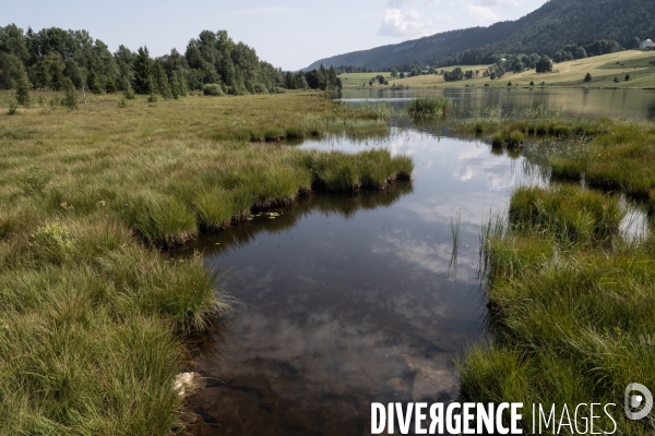 Les tourbieres, la biodiversite face au rechauffement climatique