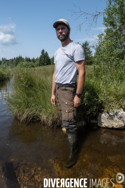 Les tourbieres, la biodiversite face au rechauffement climatique
