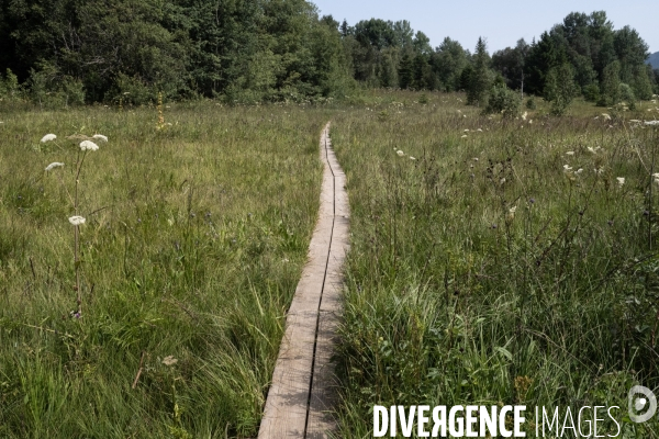 Les tourbieres, la biodiversite face au rechauffement climatique