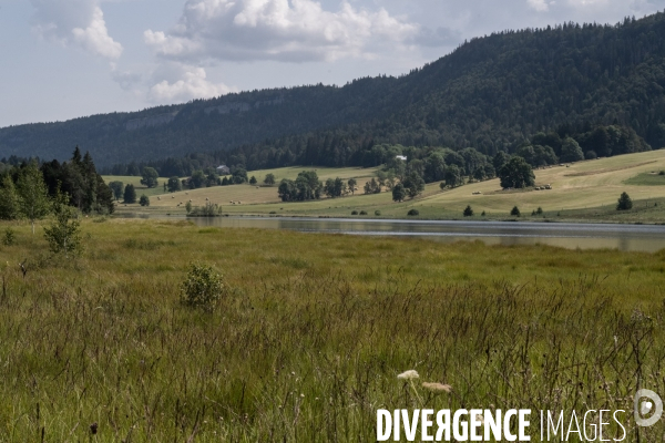 Les tourbieres, la biodiversite face au rechauffement climatique