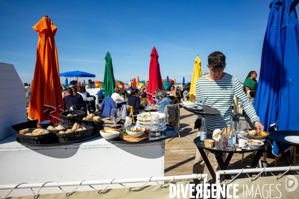 50e édi­tion du Fes­ti­val du Ciné­ma Amé­ri­cian de Deauville