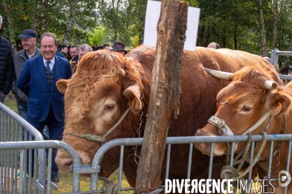 François Hollande à nouveau député de Corrèze.