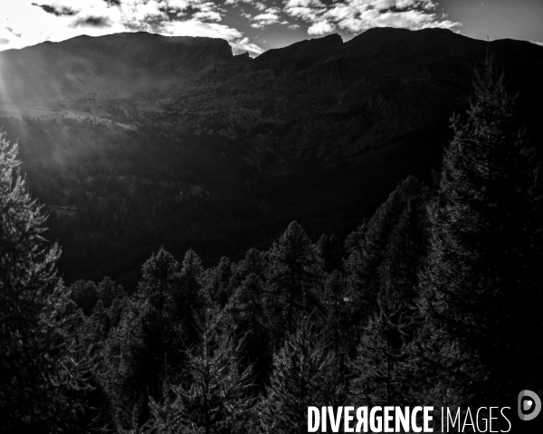 L envers de mon hiver # 14