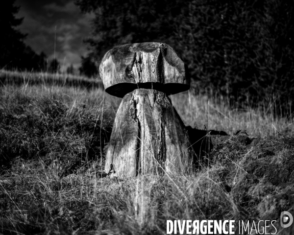 L envers de mon hiver # 14
