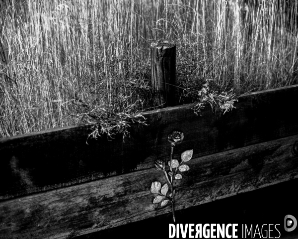 L envers de mon hiver # 14