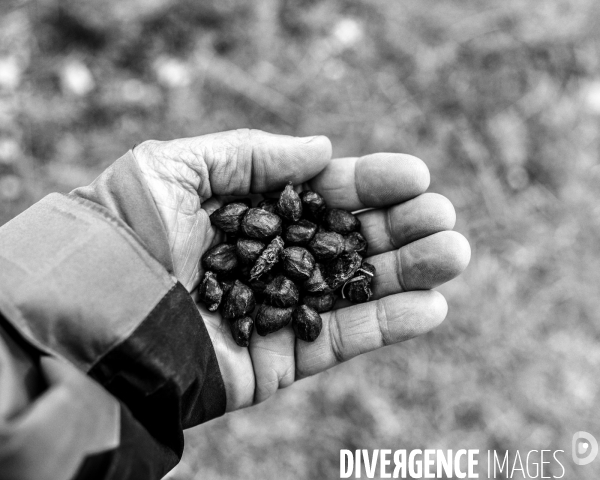 L envers de mon hiver # 14