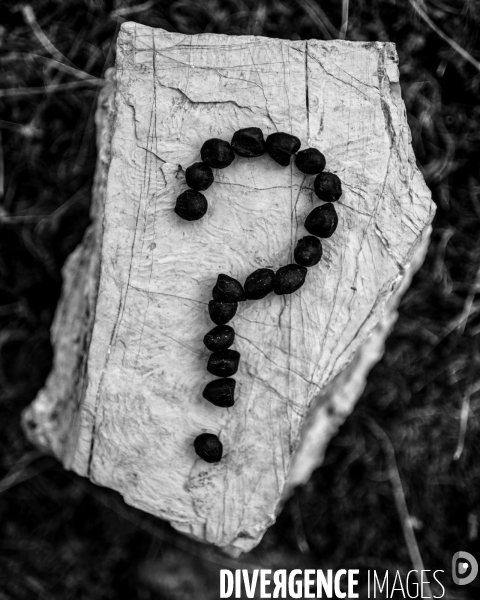 L envers de mon hiver # 14