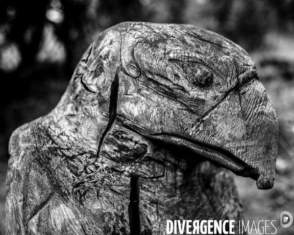 L envers de mon hiver # 14