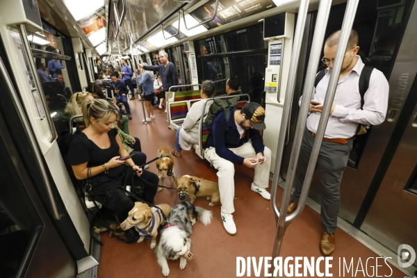Promeneuse pour chiens dans le metro parisien