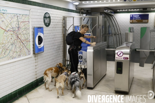 Promeneuse pour chiens dans le metro parisien