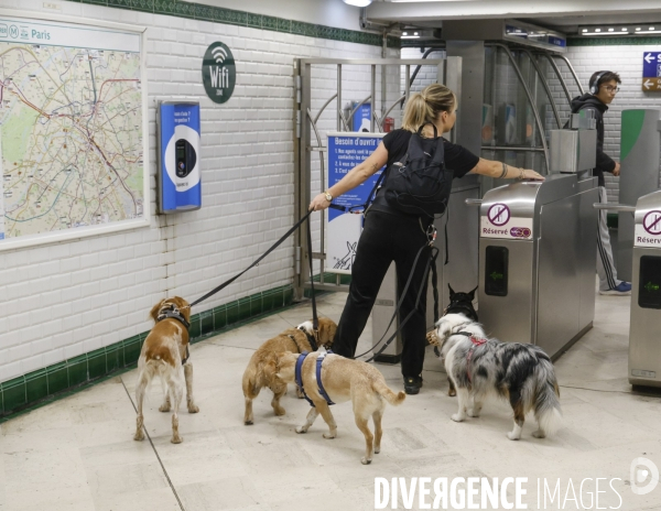 Promeneuse pour chiens dans le metro parisien