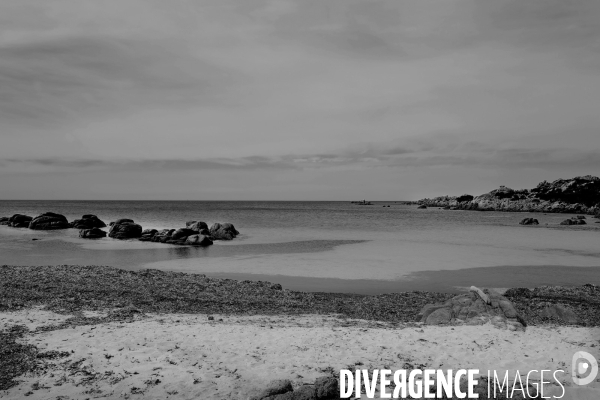 Paysage en corse du sud