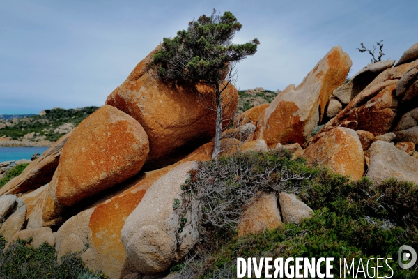 Paysage en corse du sud