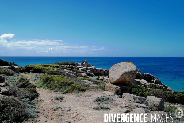 Paysage en corse du sud