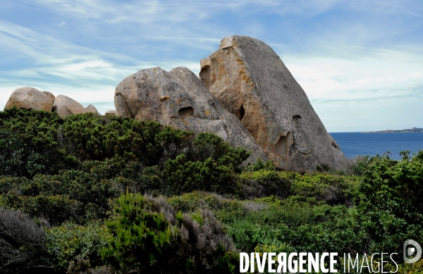 Paysage en corse du sud
