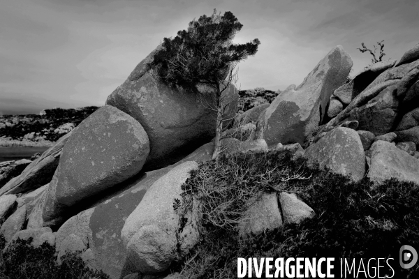 Paysage en corse du sud