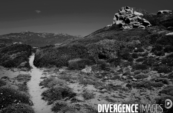 Paysage en corse du sud