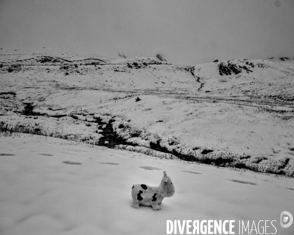 L envers de mon hiver # 15