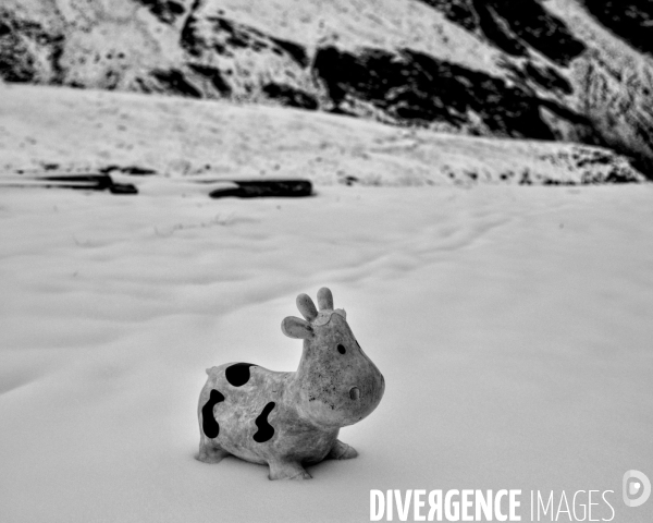 L envers de mon hiver # 15