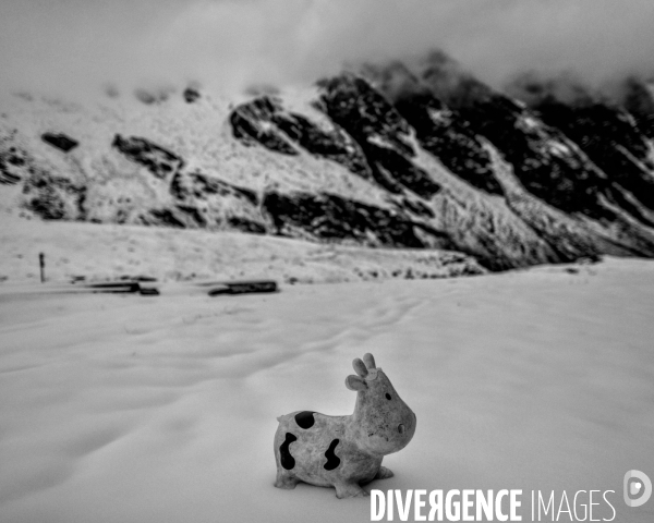 L envers de mon hiver # 15