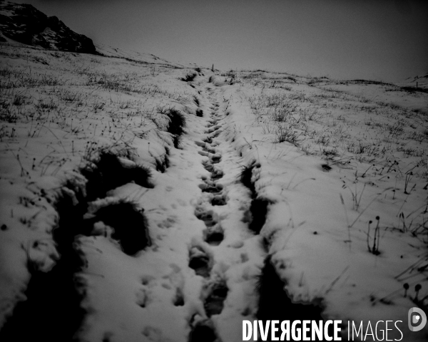 L envers de mon hiver # 15