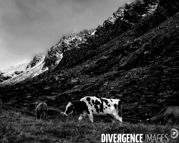 L envers de mon hiver # 15