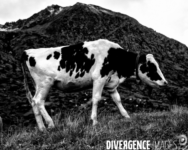 L envers de mon hiver # 15
