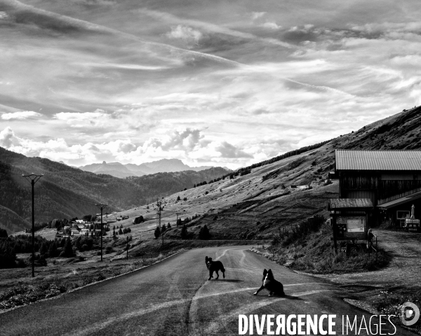 L envers de mon hiver # 15